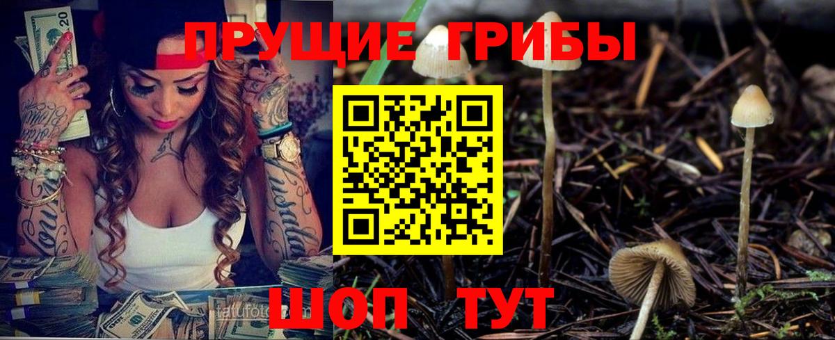 Галлюциногенные грибы Psilocybe Снежинск