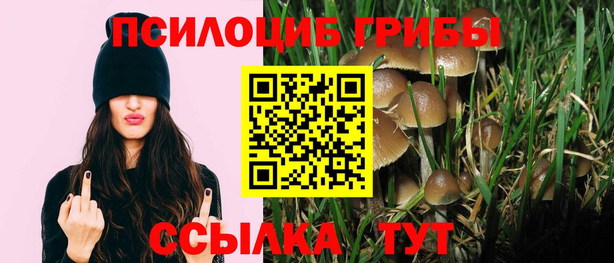 Снежинск  наркотики  Вход с VPN  Галлюциногенные грибы Psilocybe 